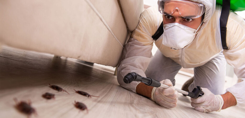 cockroach control Rowville
