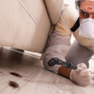 Effective Cockroach Extermination Services in Scoresby: Ensuring a Pest-Free Home